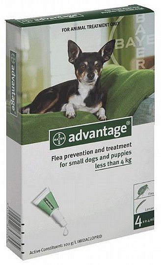 11������� ��� ������� ���� ���� �� 4 �"� ����� ������� - BAYER Advantage ����� �� ����