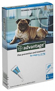 11������� ��� ������� ���� ��� ��� 10-4 �"� ����� �������' - BAYER Advantage ����� �� ����
