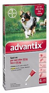 ������� ��� ������� ������ ������ ��� ���� ������ 25-10 �"� ����� ��������� - Advantix for dogs 10-25KG  