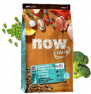 ���� ����� ����� ��� ����� ��� ������ ���� ���� ���� - NOW ����� 11.3 �"� 