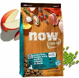 ���� ������ ������ ��� ����� ��� ������ ���� ���� ���� - NOW ����� 11.3 �"� 