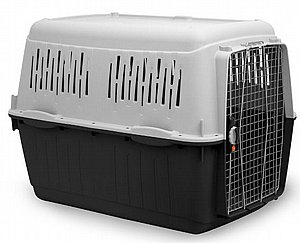 ���� ���� ����� 7 - BRACCO (��� ���� ��� �����) ���� 102 �"�