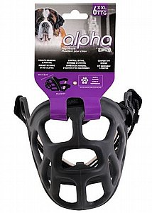 ����� ���� ���� ���� ����� ����� - Alpha by Zeus