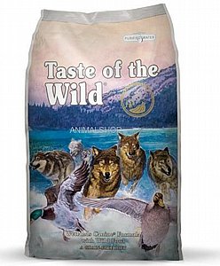 ���� ���� ���� ��� ����� ����� ��� �� ����� ����� 13 �"�