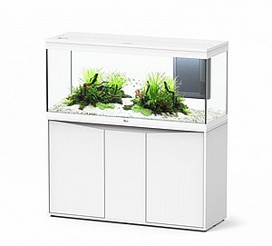 ����� ������� ����� 240 �������� + ��� ���� 123 �"�