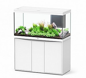 ����� ������� ����� 350 �������� + ��� ���� 123 �"�