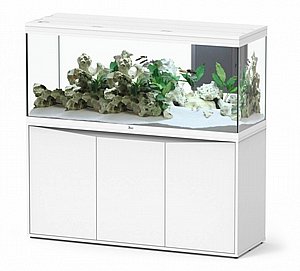 ����� ������� ����� 450 �������� + ��� ���� 153 �"�