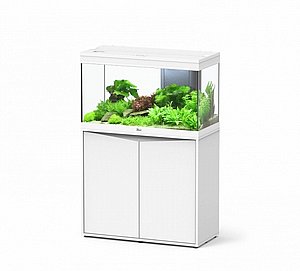 ����� ������� ����� 125 �������� + ���� ���� 83 �"�