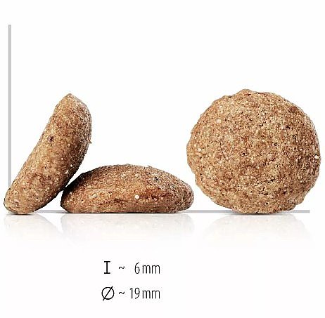��� ��� ������ ���� ������ 10 �"�