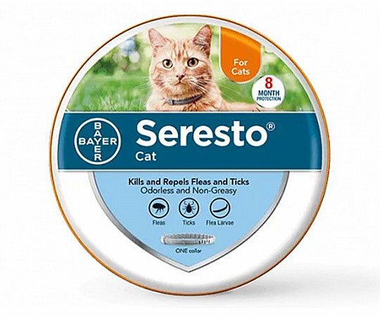 ���� ��� ������ �������� ����� ����� - Seresto for cats