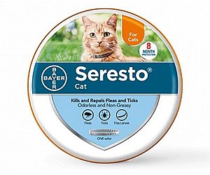 ���� ��� ������ �������� ����� ����� - Seresto for cats