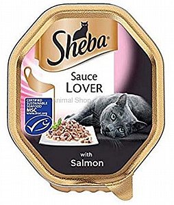 ���� ���� ����� ����� ������� 85 ��'