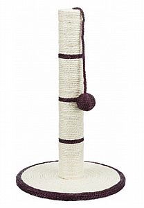 ������ ���� ����� �� ���� 50 �"�