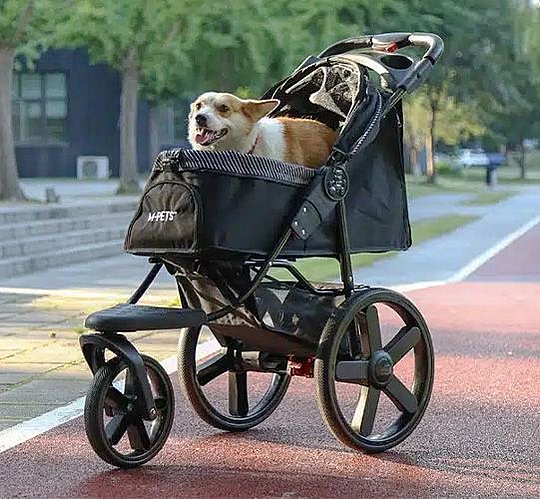 M-PETS ���� ����� ������ ������ �� 25 �"�