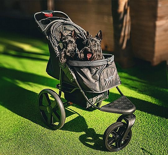 M-PETS ���� ����� ������ ������ �� 25 �"�