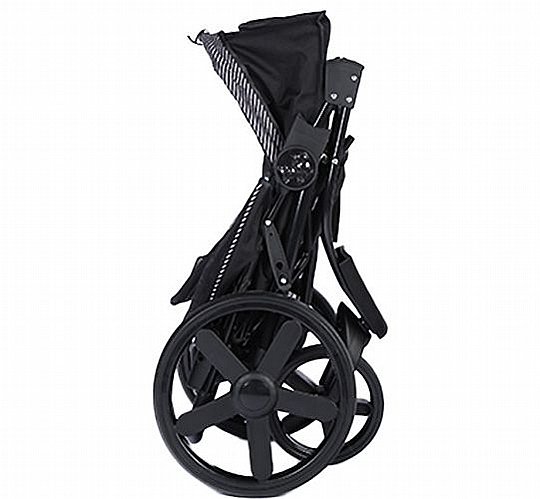 M-PETS ���� ����� ������ ������ �� 25 �"�