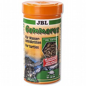 JBL ���� ������� ���� ����� 250 �"�