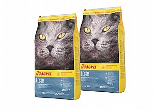  �'���� ��� ���� 10 �"� �����  + �� ����� ����!