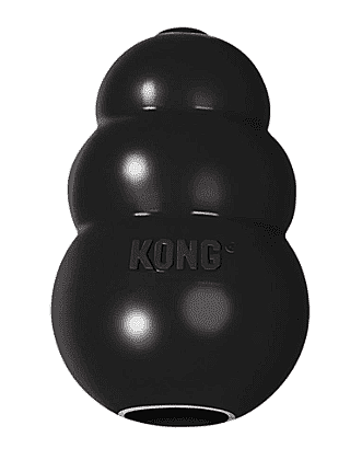 ���� KONG ������� ���� ����� �����