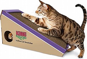 ���� ����� ����� ���� - KONG ������ �����