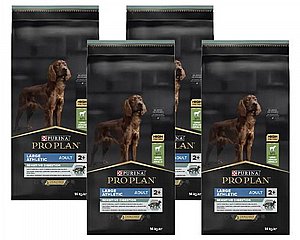 ��� 2 ���� ��� ���� ��� ��� ���� 14 �"� ���� ���� ����� ����� *�� ���� ��� ������ �� �������