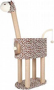 ���� ����� ����� ����� �'����