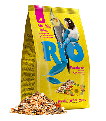 RIO ���� ��� ���������� ������� ���� ������ ���� 1 �"�