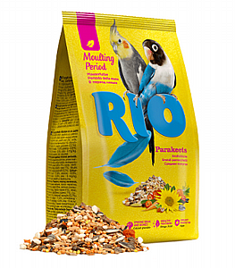 RIO ���� ��� ���������� ������� ���� ������ ���� 1 �"�