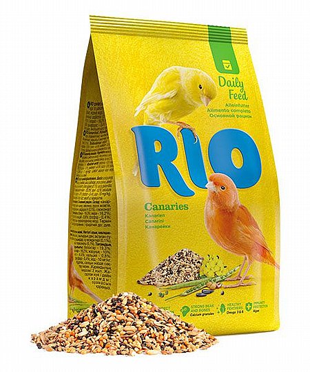 RIO ������ ���� ��� ������ 1 �"�