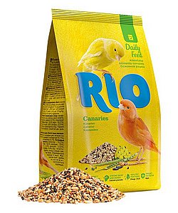 RIO ������ ���� ��� ������ 1 �"�