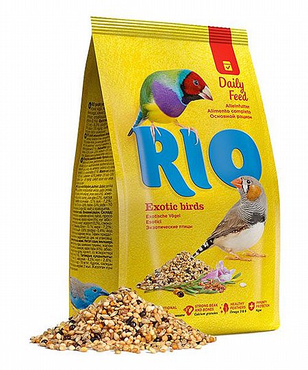 RIO ������ ���� ��� ������� 1 �"�