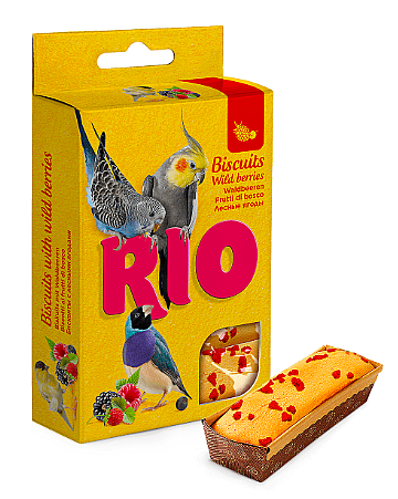 RIO ���� ���������� ������ �� ����� �� 35 �