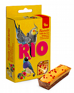 RIO ���� ���������� ������ �� ����� �� 35 �'