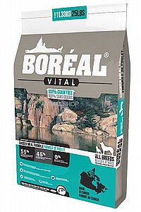 ���� ���� ���� ��� ����� ������ ���� �� ���� ��� 11.33 �"� 