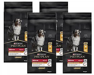 ��� 2 ���� ��� ���� ���� ��� 14 �"� ���� ����� ����� *�� ���� ��� ������ �� �������