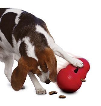 ����� ���� ���� ����� ���� ���� - KONG WOBBLER ����� �����