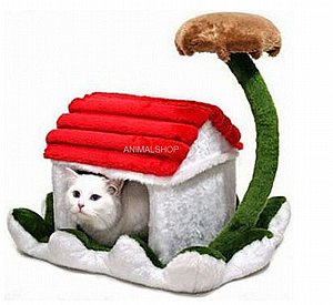 ���� ������� ����� ��� ���� ������ ��� 80172 ���� 50 �"�