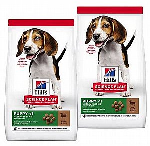 ��� 2 ��' ���� ����� ��� ����� ���� 14 �"�