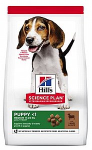 ���� ����� ���� ���� ����� ����� ��� ��� ����� 12 �"� 