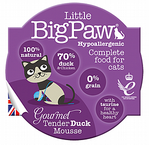 ���� ��� ��� ��� ����� ������� 85 ���