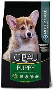 ���� ����� ����� ����� 12 �"�