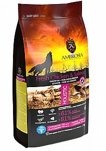 �������� ���� ��� ����� ���� ����� ����� 12 �"�