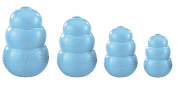 ����� ���� ���� ������ - KONG PUPPY ����� �����