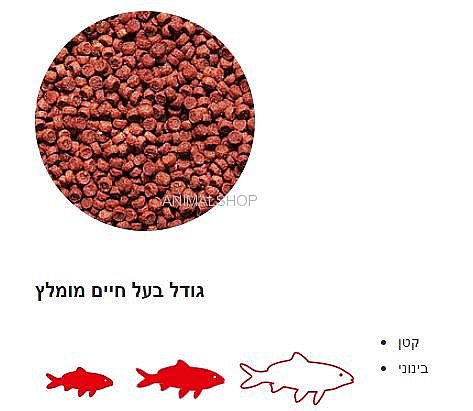 ��� ������ ���� ��������� ������ ������ 5.4 �"�