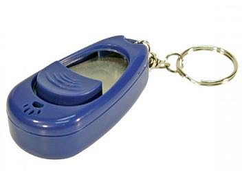 ����� ���� ����