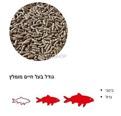��� ���� ���� ����� ���� ����� ��� 2.8 �"�