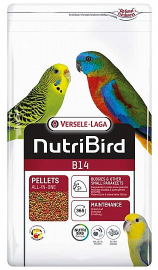 ������� ����� ��� ����� B14 ������ 1 �"�