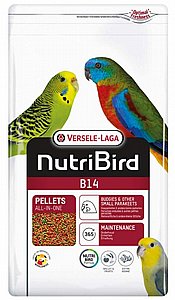 כופתיות לתוכי קטן ורסלה B14 צבעוני 1 ק"ג כופתיות לתוכי קטן ורסלה B14 צבעוני 1 ק"ג