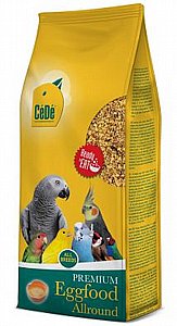 �� �� ���� ����� ������ 10 �"�