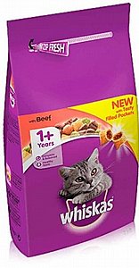 ���� ������� ������ ������ ����� ��� 14 �"�